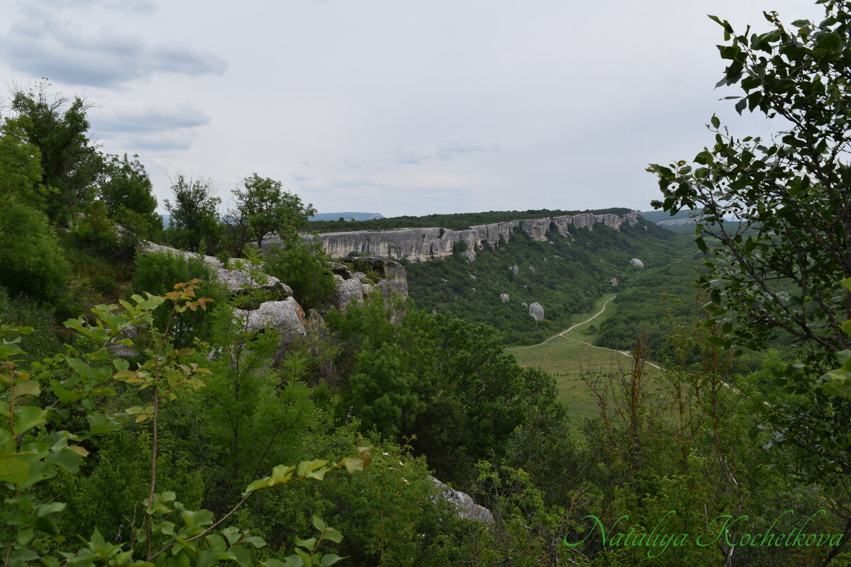 Природа Крыма - Amazing Cosmea