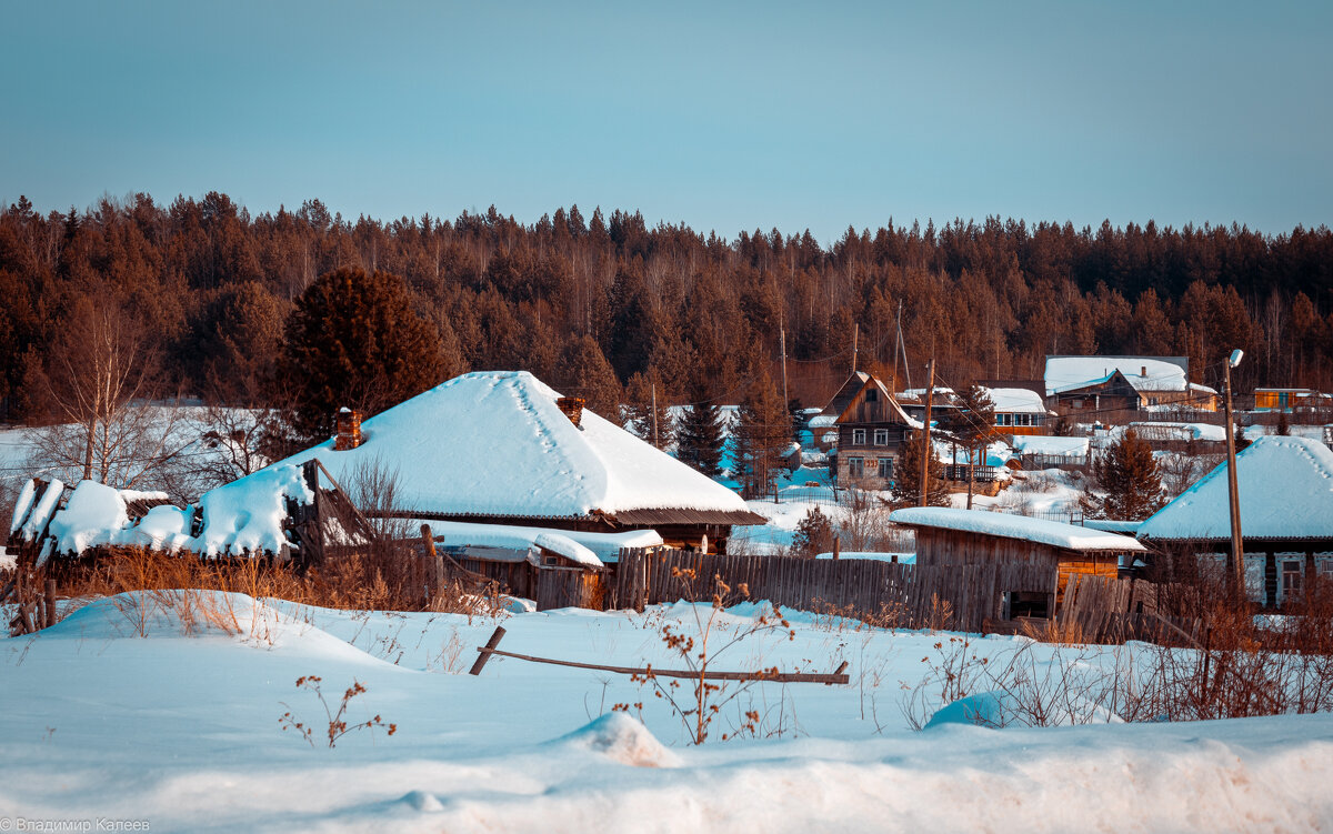 Деревня Еловка - Владимир Калеев