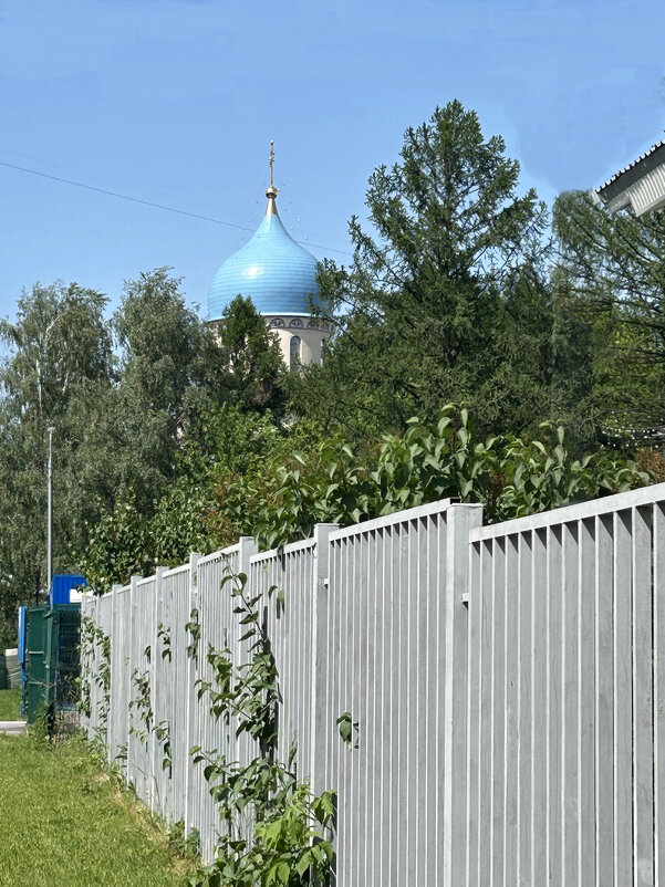 Забор - Oleg4618 Шутченко