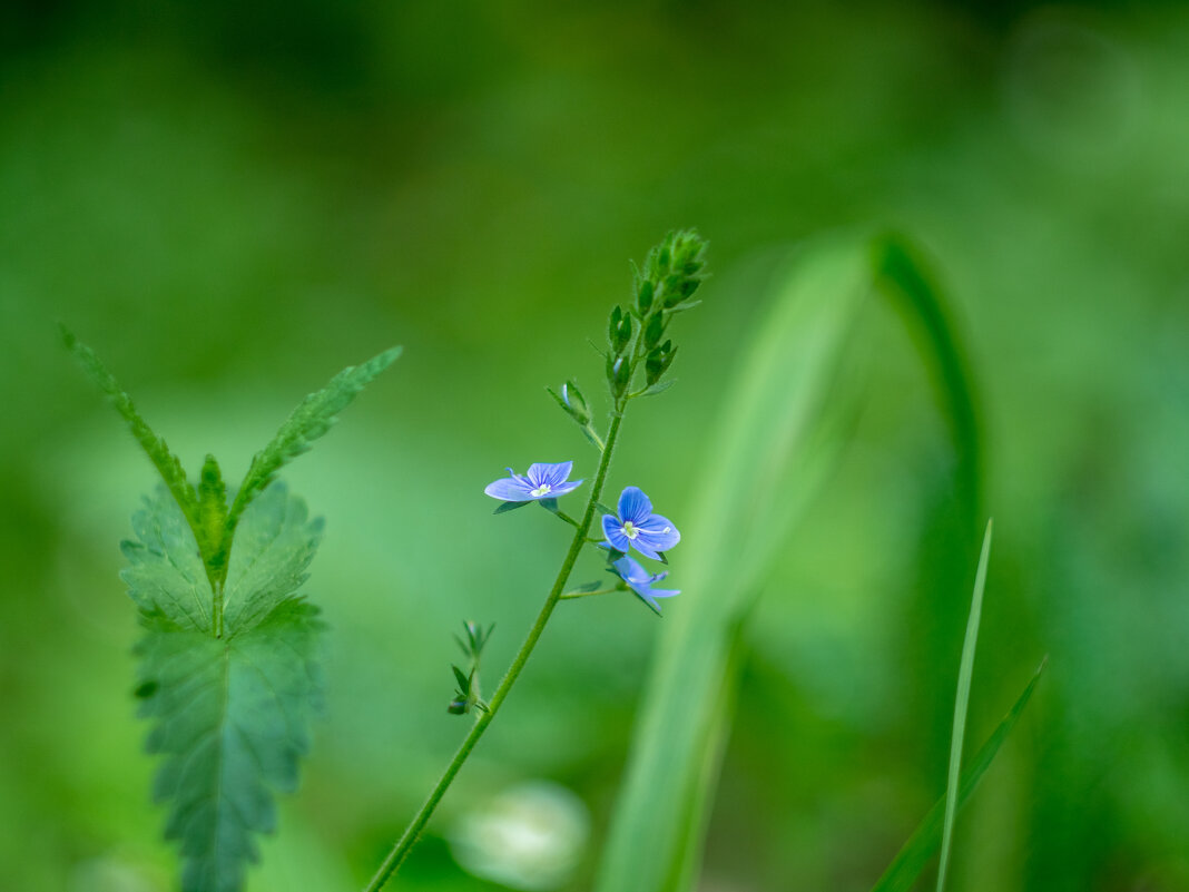 ___ - Yuriy V ___ - Yuriy V