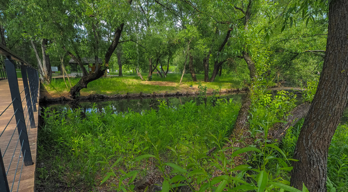 ***** - юрий поляков