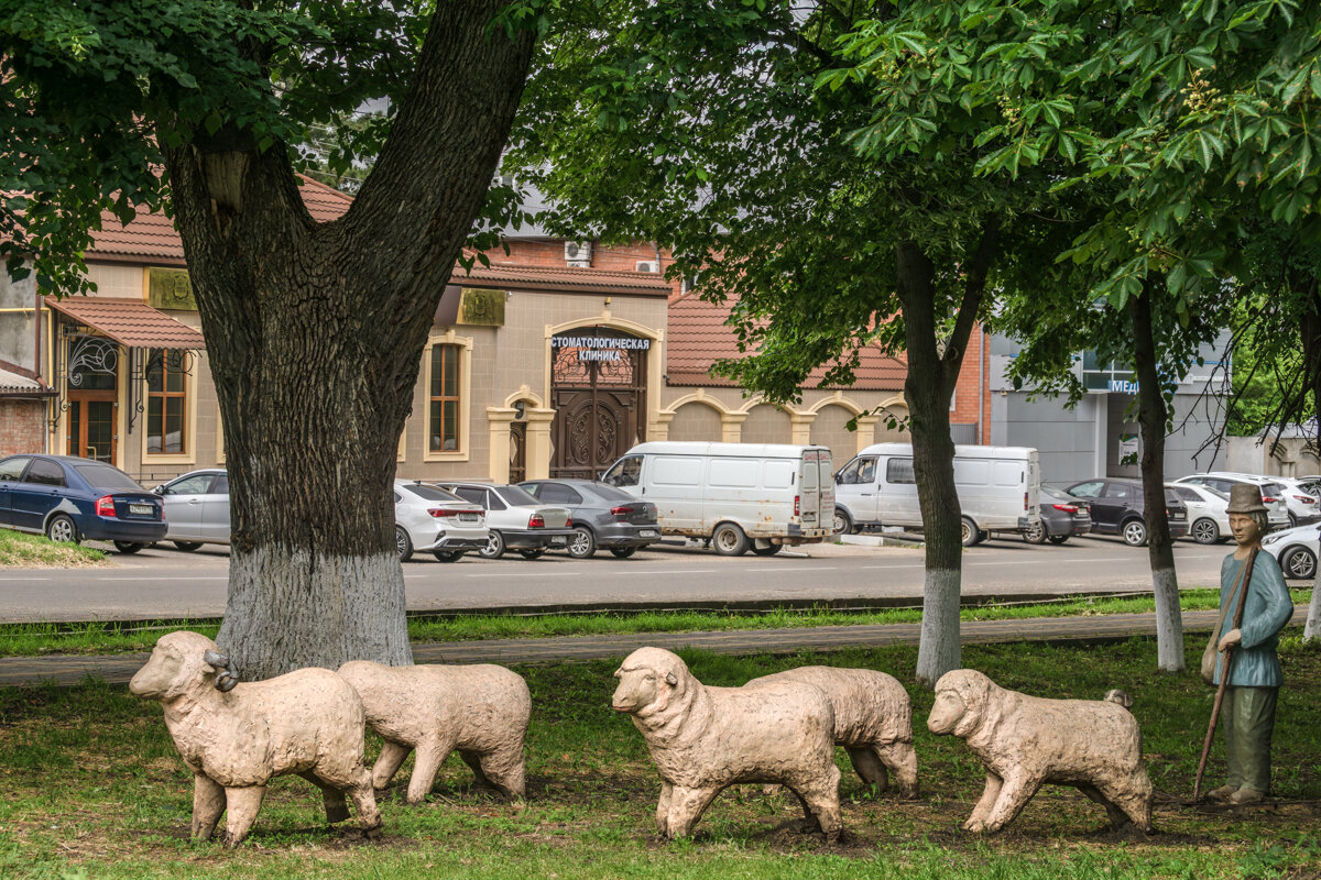 Прогулка по городу - Игорь Сикорский