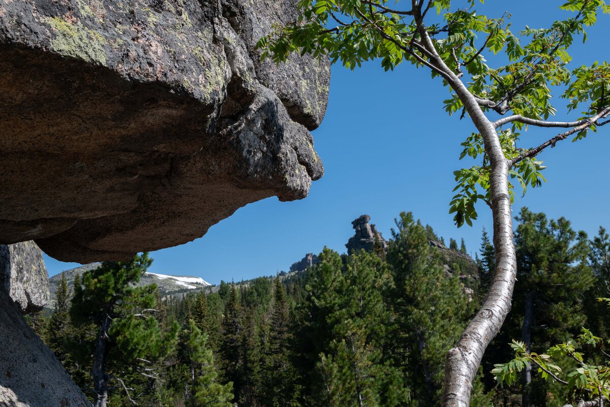 *** - Валерий Михмель 