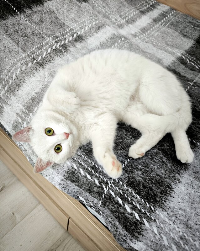 *   *   * - Елена 