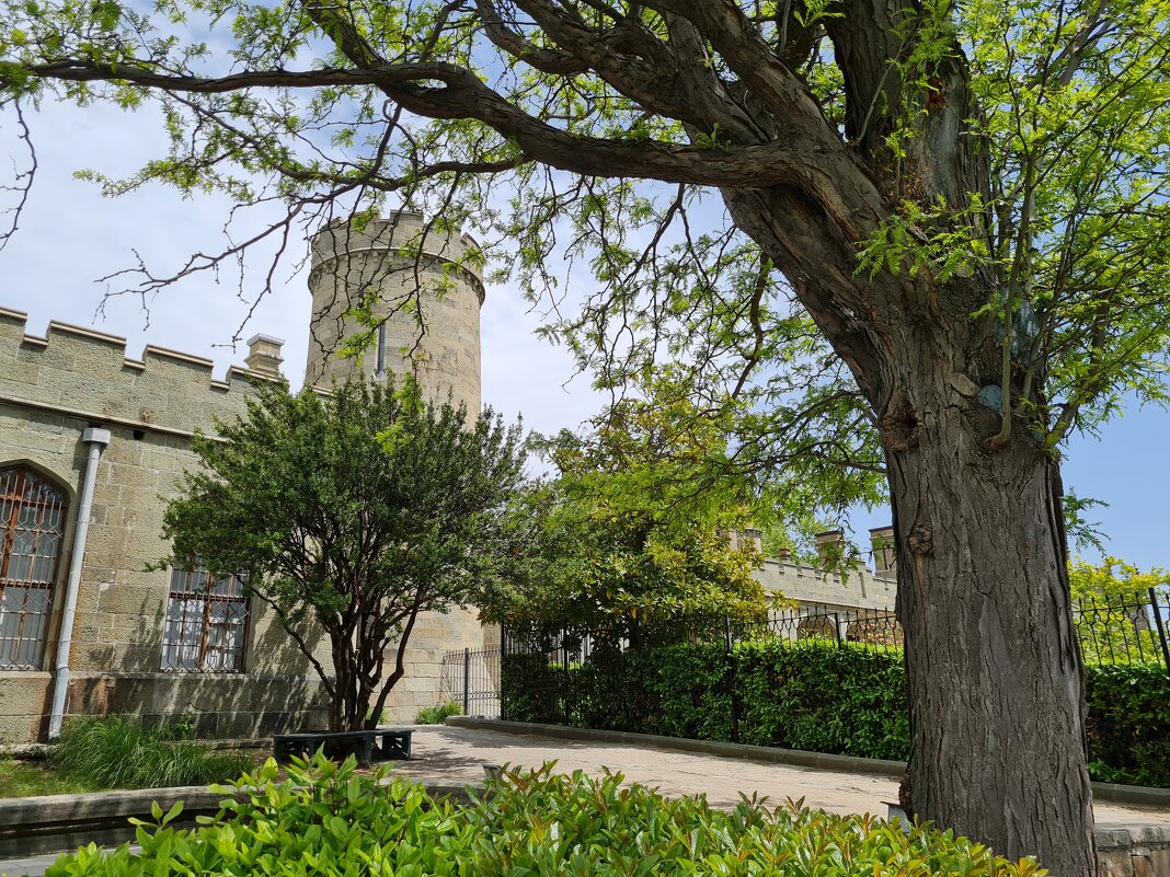 Воронцовский дворец - Валерий Ткаченко Воронцовский дворец - Валерий Ткаченко