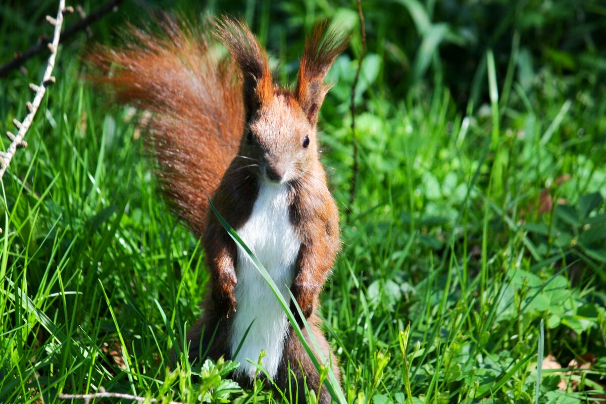 Прогулка - Юрий. Шмаков Прогулка - Юрий. Шмаков