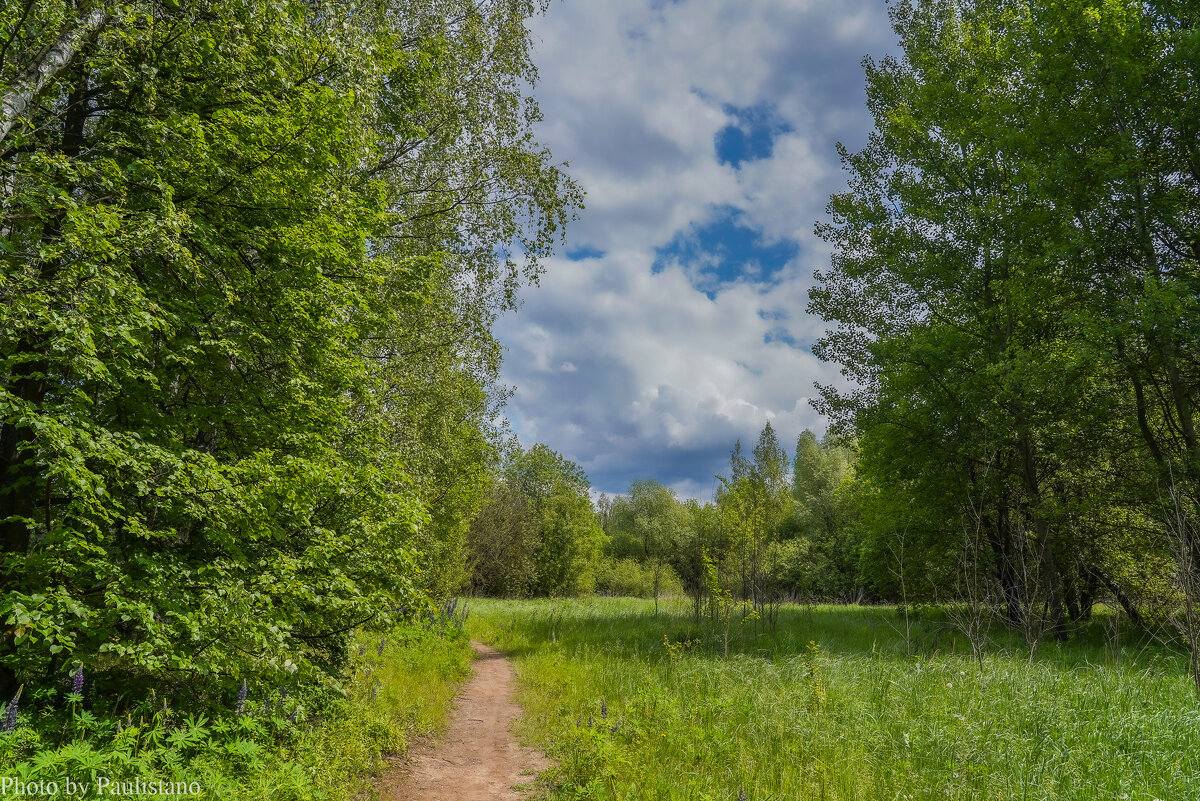 Тропинками лета... - Владимир Жданов
