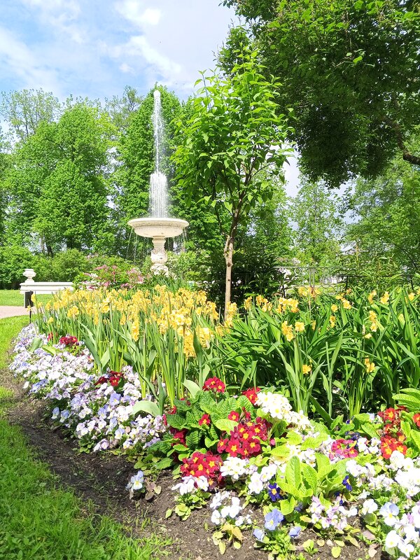 Фонтан - Сапсан 