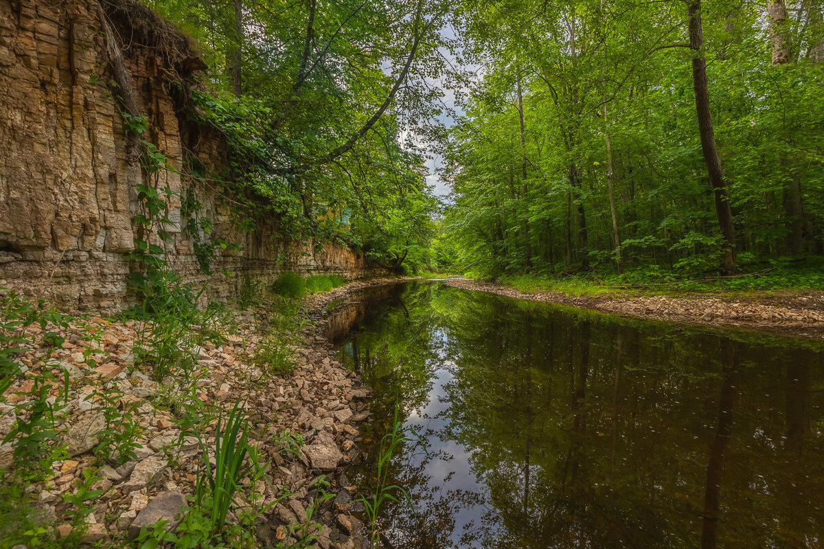 **** - Елизавета .