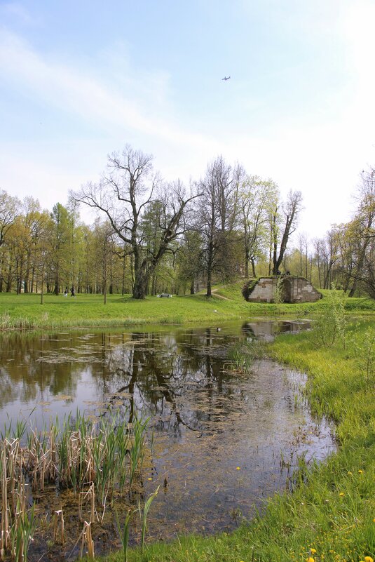 Орловский парк - Наталья Герасимова Орловский парк - Наталья Герасимова