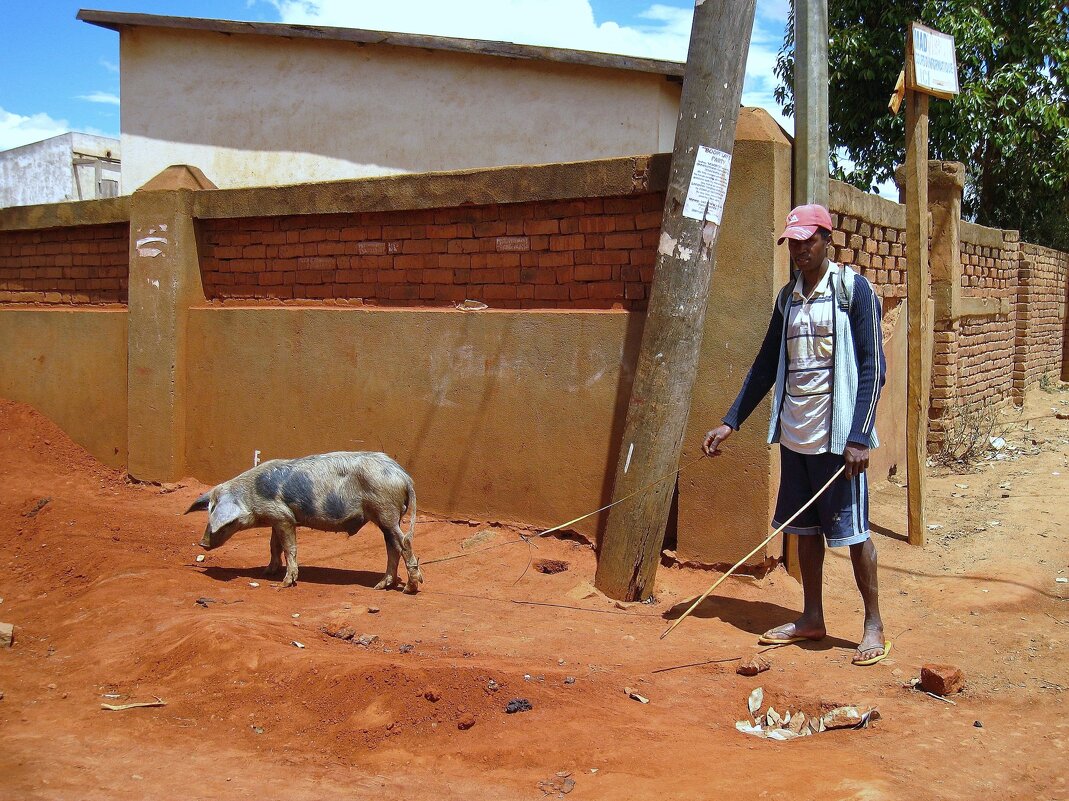 На прогулке. - unix (Илья Утропов) На прогулке. - unix (Илья Утропов)