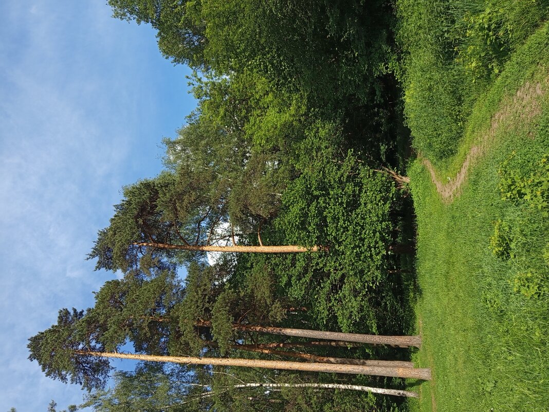 Из того, что успел недопоказать в июне - Андрей Лукьянов