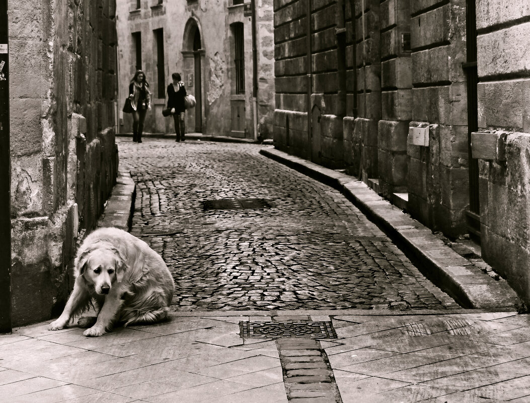 Средневековая улочка - СЮ 