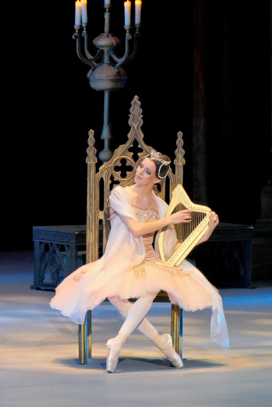 Балет "Раймонда" - Валерий Судачок Балет "Раймонда" - Валерий Судачок