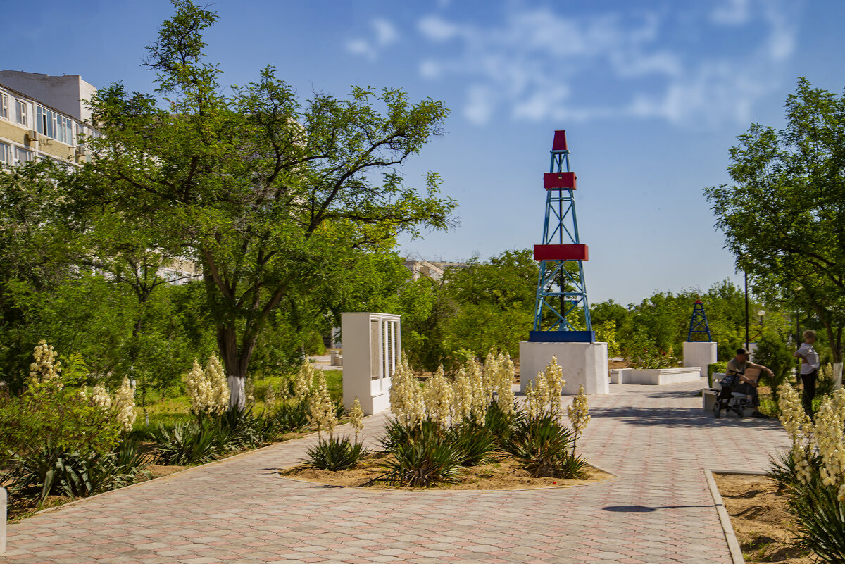 Аллея - Анатолий Чикчирный