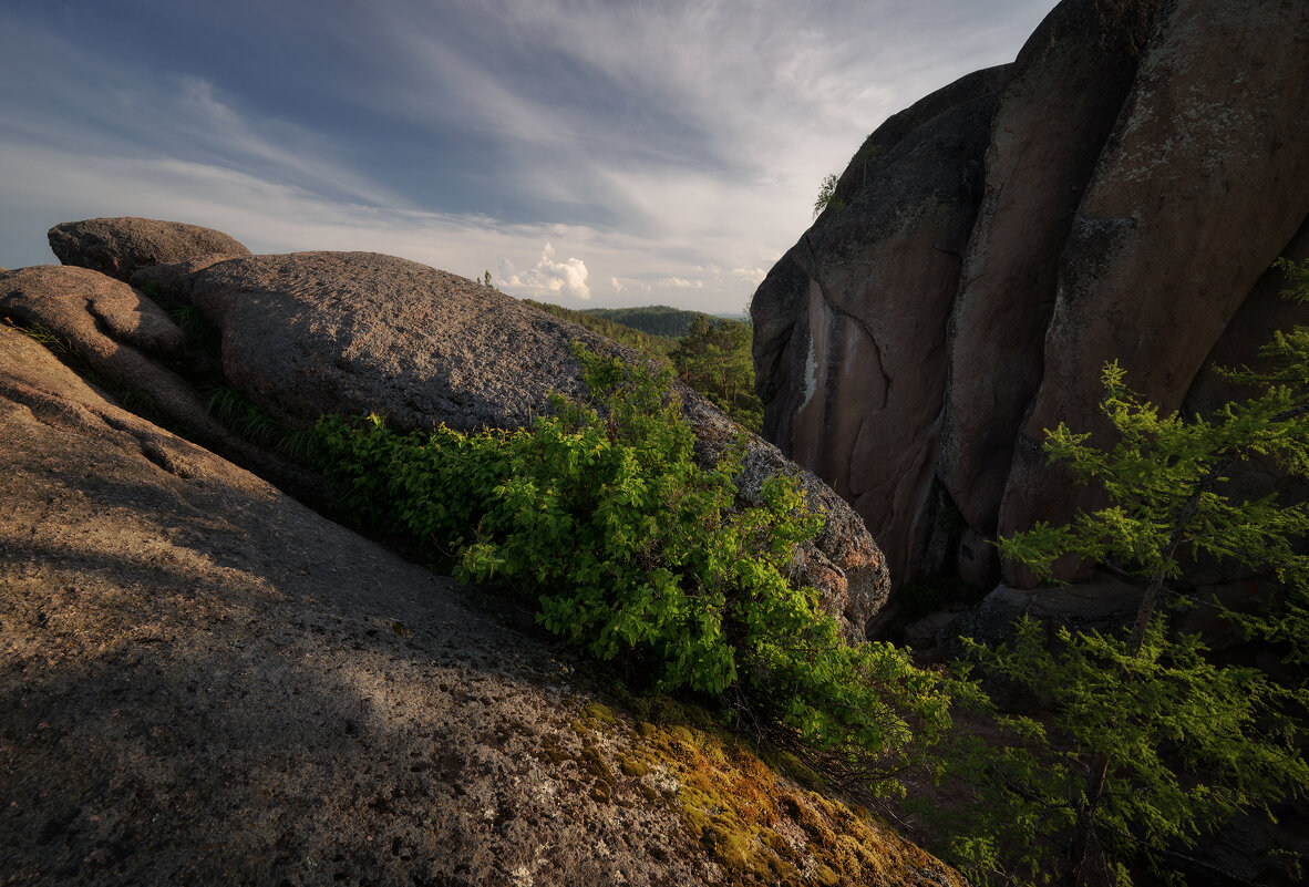 * - Александр Иванов * - Александр Иванов
