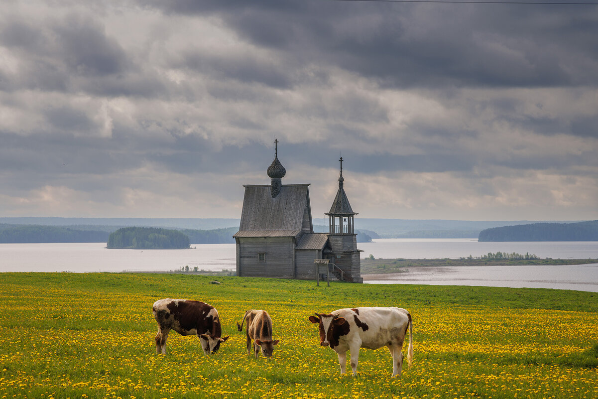 Умиротворение - Sergey38 Умиротворение - Sergey38