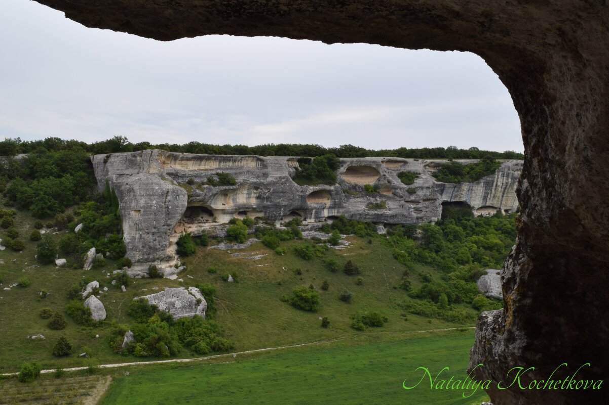 Природа Крыма - Amazing Cosmea