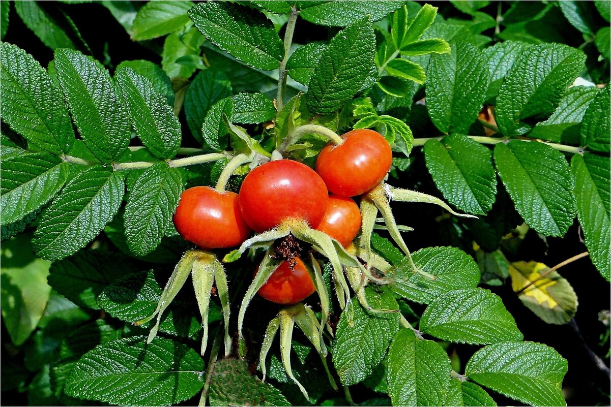 ЛЕТО - Юрий Владимирович 34 ЛЕТО - Юрий Владимирович 34