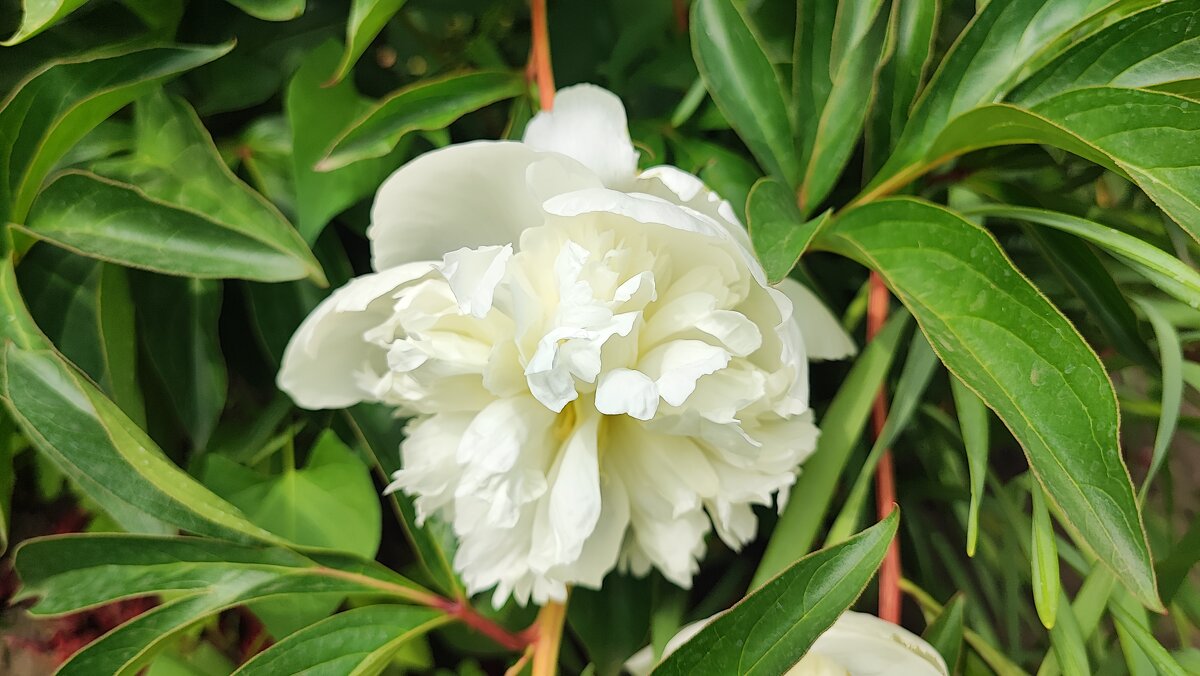 ,,, - Сергей Тимоновский ,,, - Сергей Тимоновский