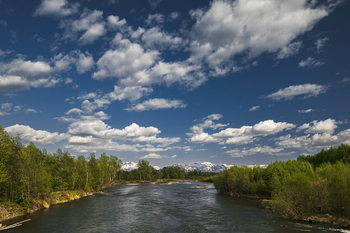 ... - Жора Житников