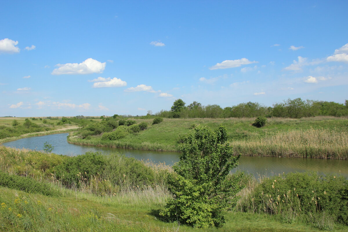 У реки. - Виктор 