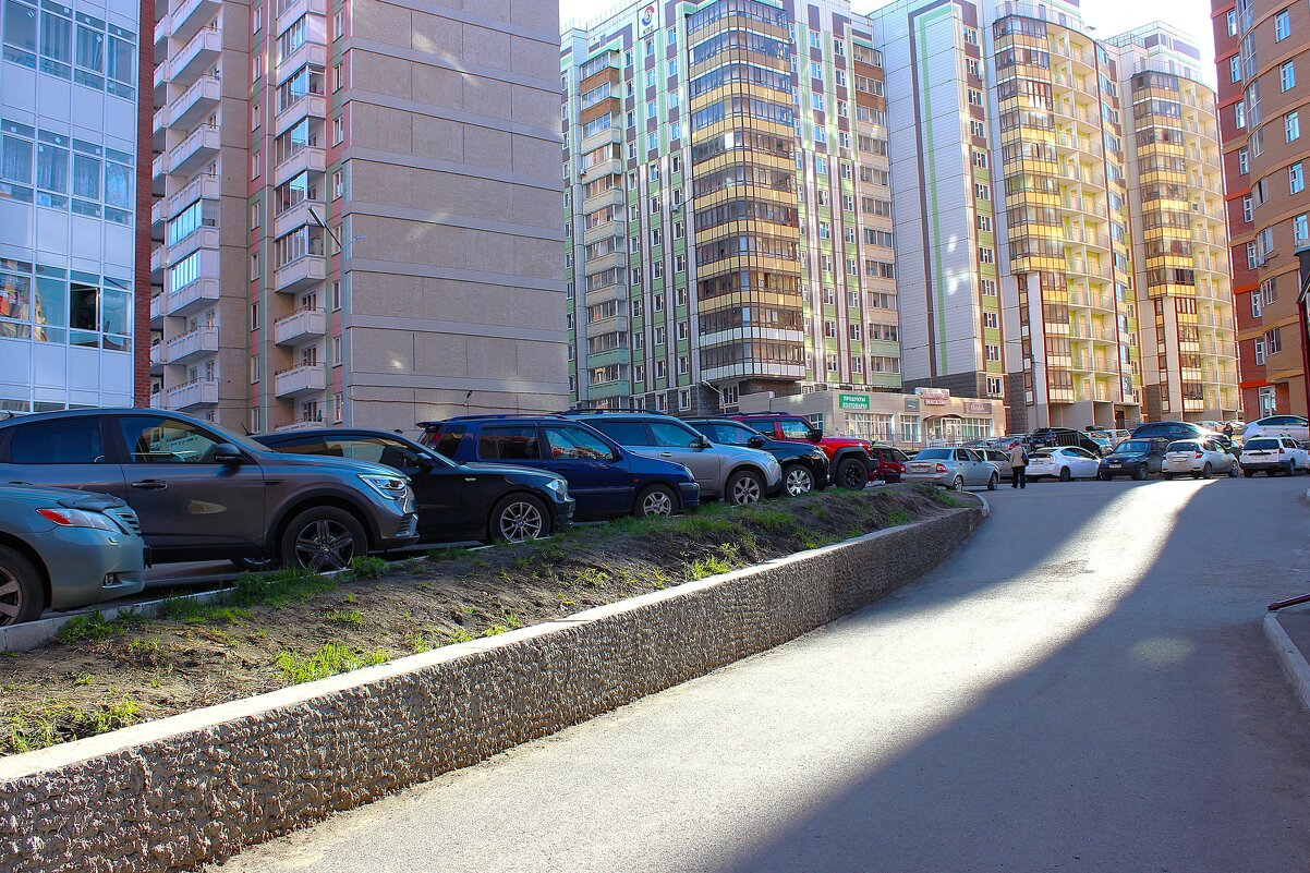 Каменные джунгли - Василий 