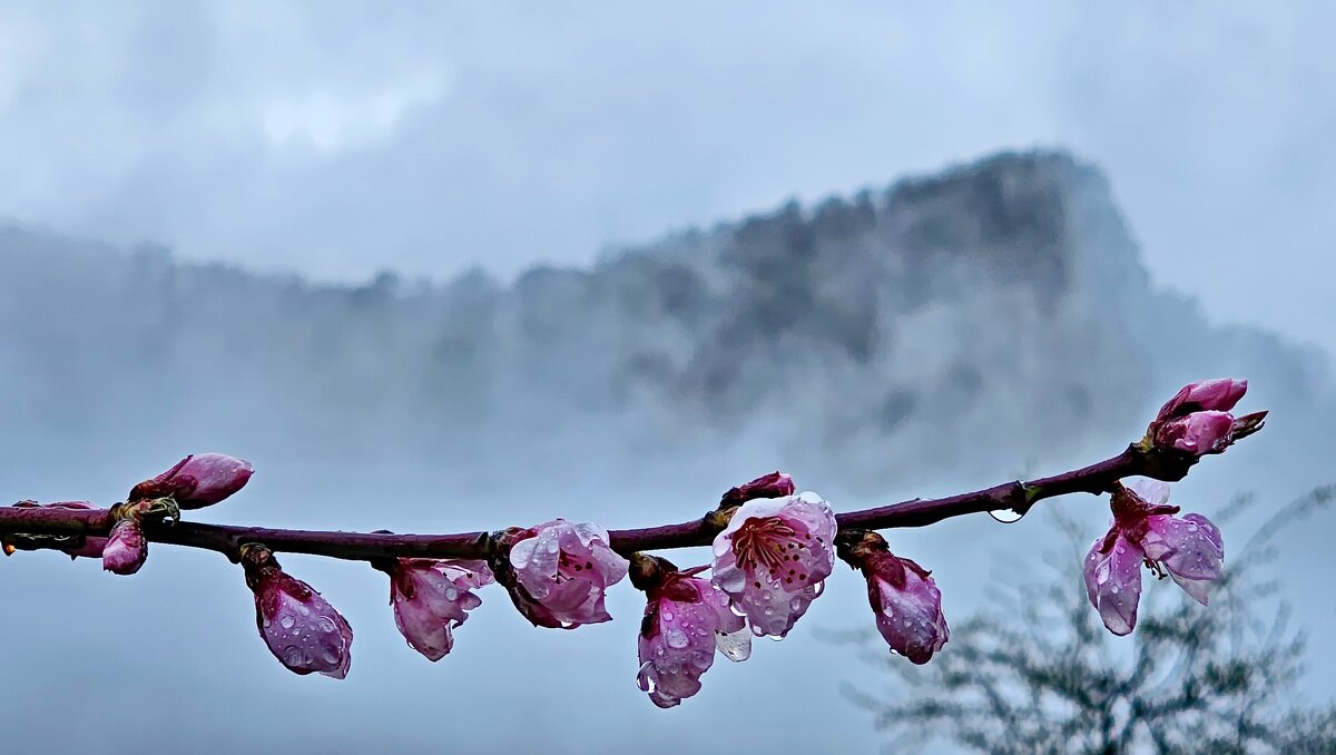 В горах - Михаил Свиденцов