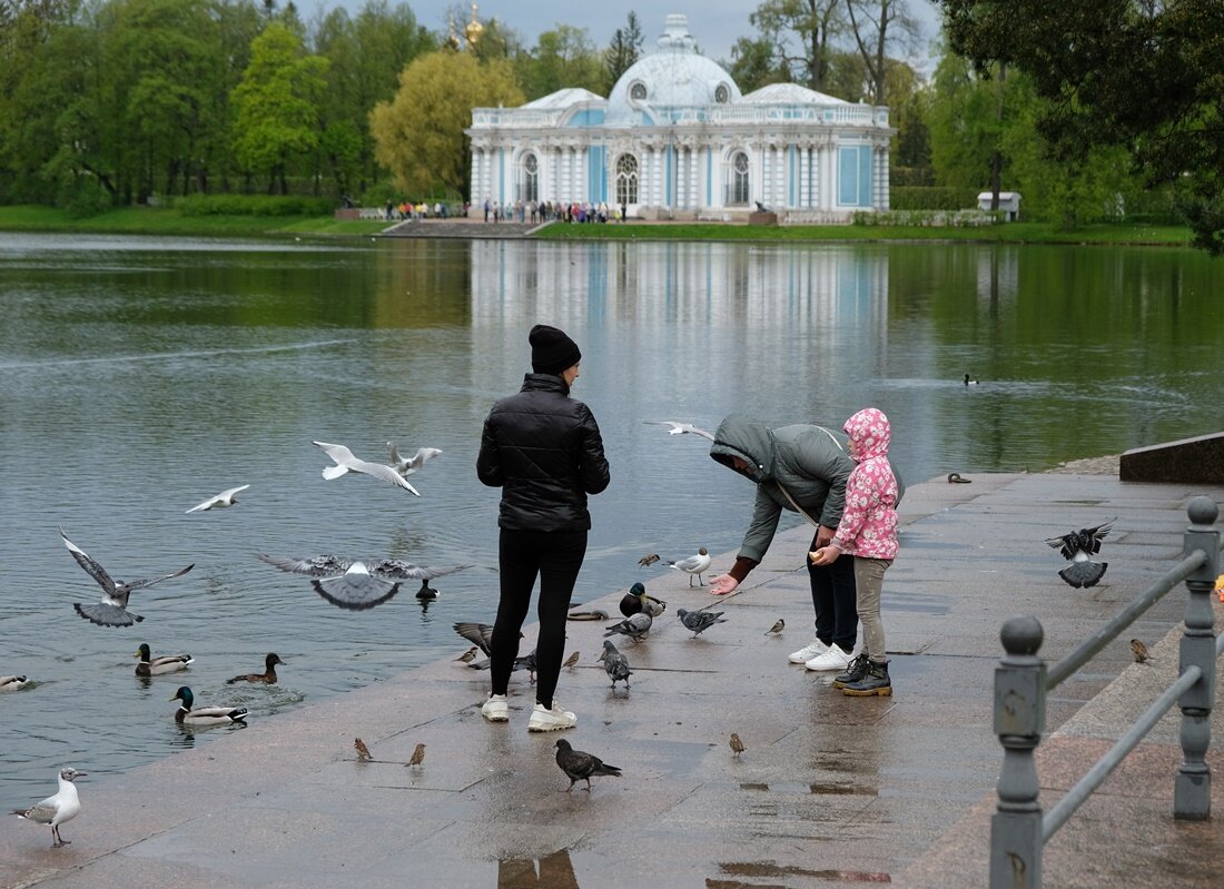 "Второй" завтрак у пернатых.. - Алекс Б-в