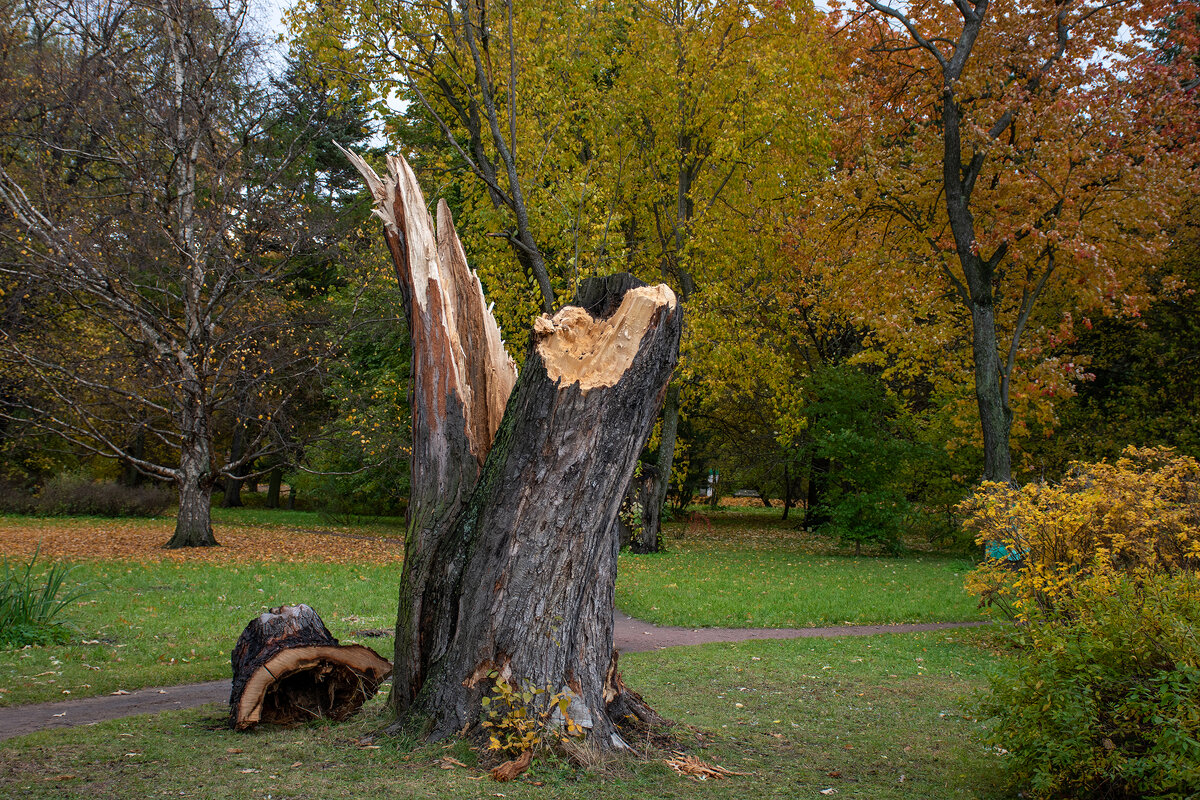 Разлом - Борис Генкин Разлом - Борис Генкин