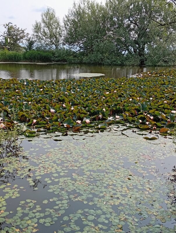 Монастырское озеро. г. Бештау - Екатерина Филипенко