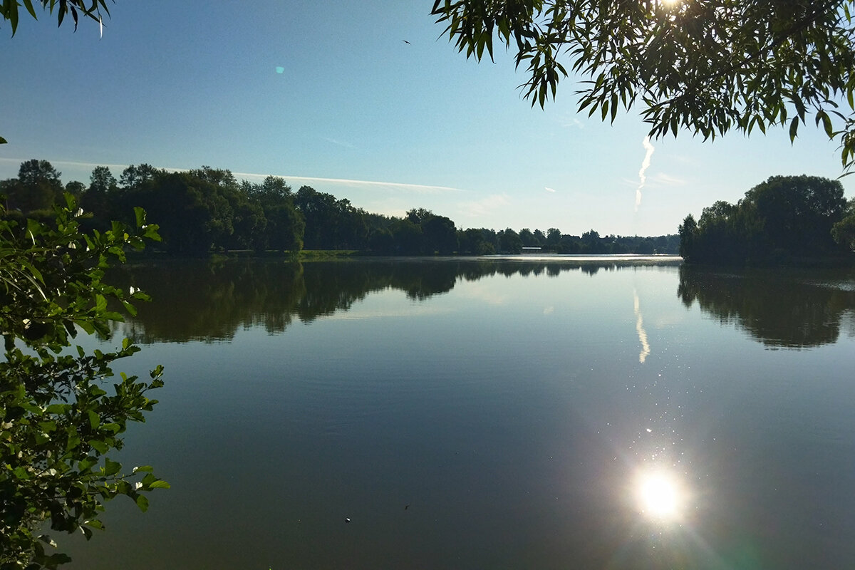 Отражение - Марина Виноградова