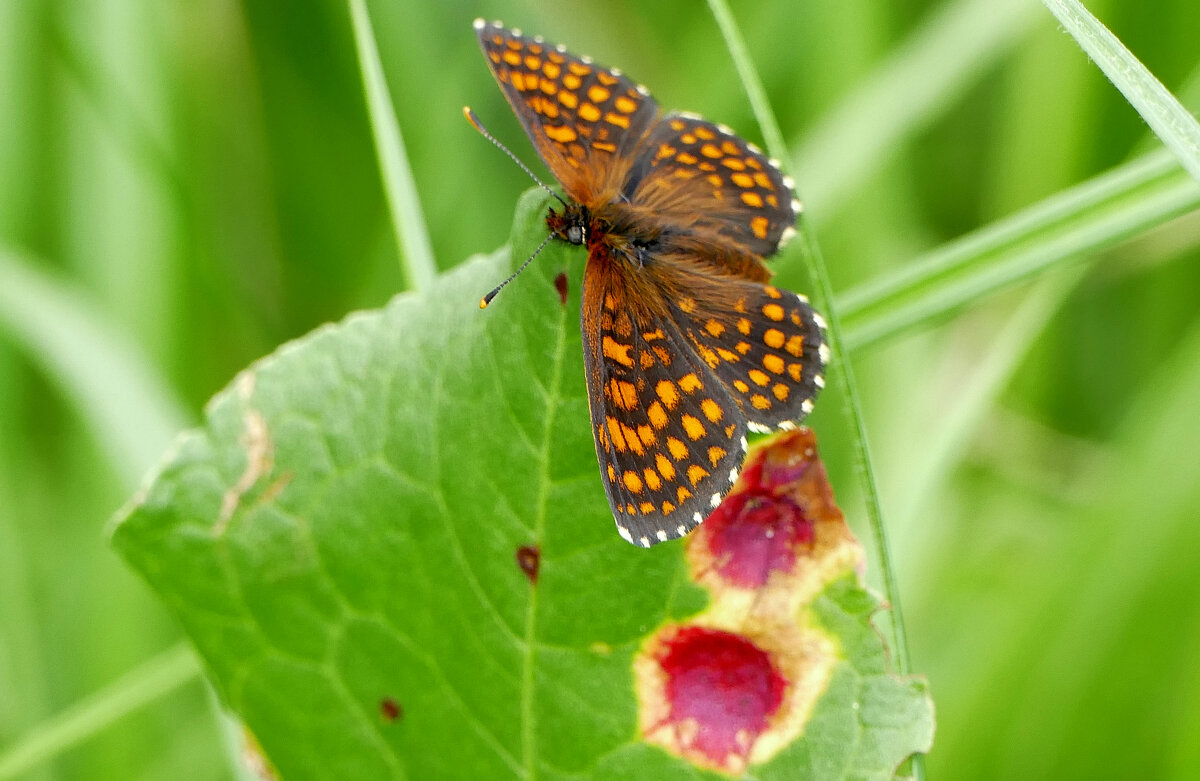 из снятого сегодня 7 - Александр Прокудин из снятого сегодня 7 - Александр Прокудин