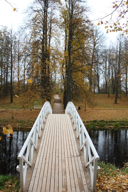 Воспоминание о Пушкинских горах - Наталья Герасимова