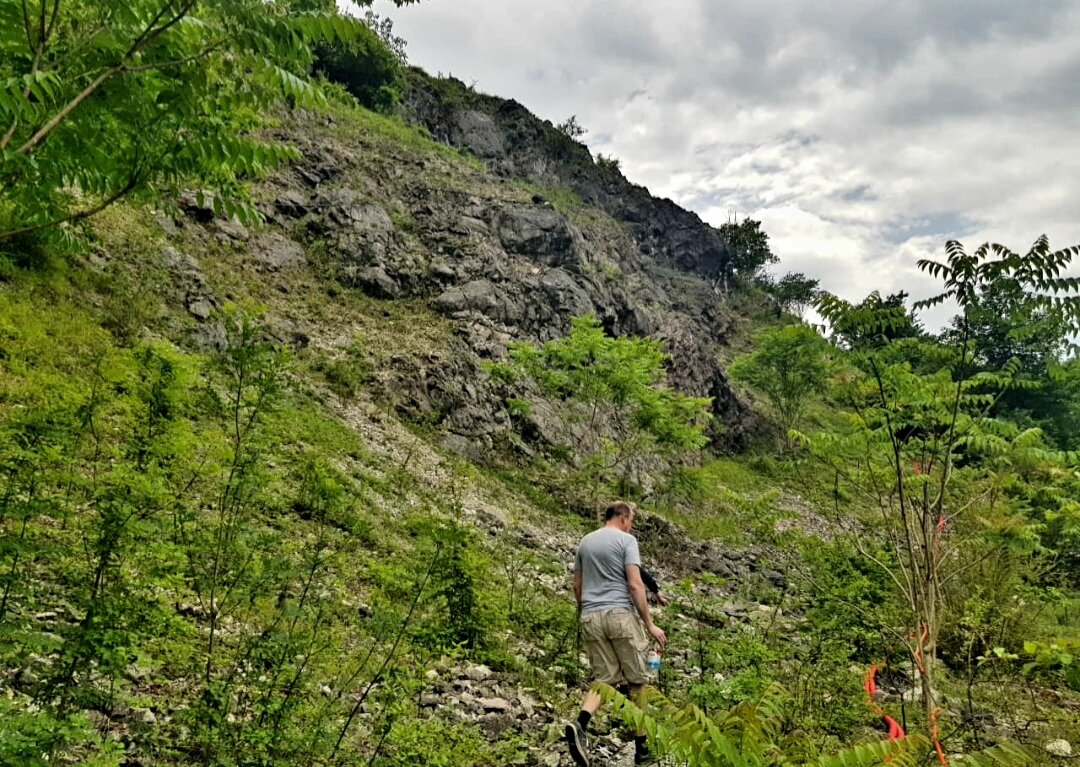 ПЛАСТУНКА-СОЧИ - Tata Wolf