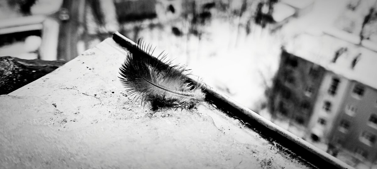 .. .. .. - Руслан 