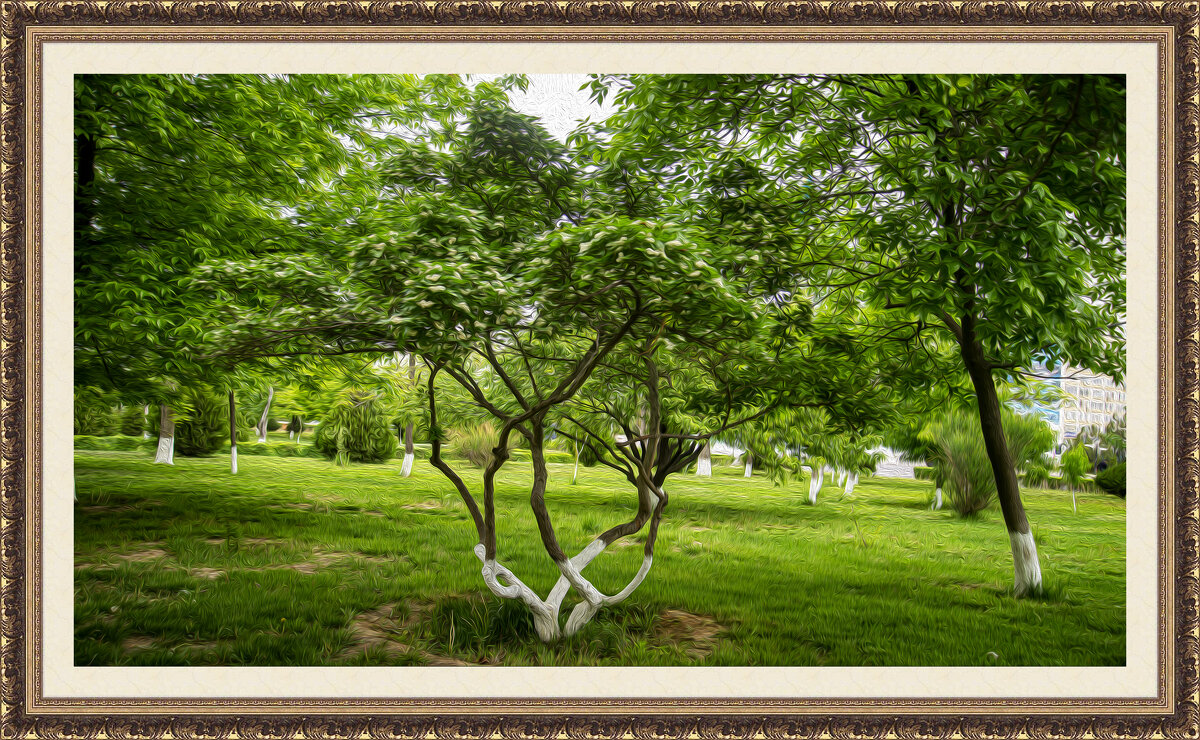 Боярышник - Анатолий Чикчирный