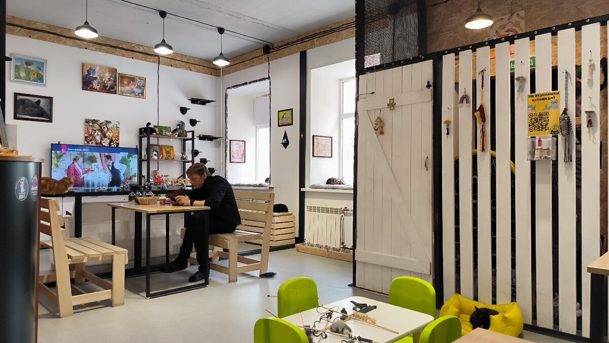 В котокафе. - Ольга В котокафе. - Ольга