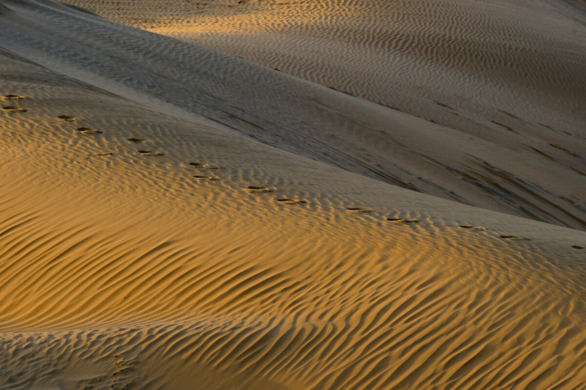 Дюны пустыни Саха (3) - Георгий А Дюны пустыни Саха (3) - Георгий А