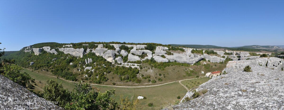 Природа Крыма - Amazing Cosmea Природа Крыма - Amazing Cosmea