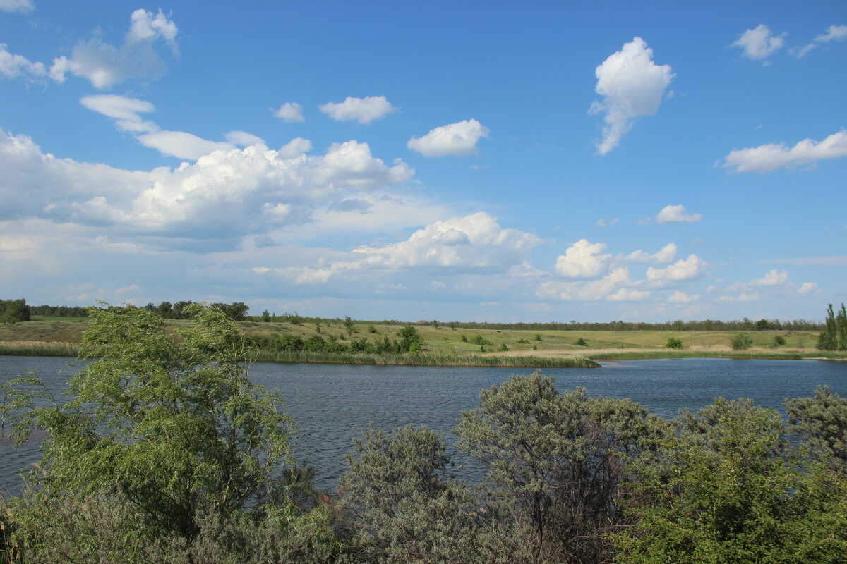 У пруда. - Виктор 