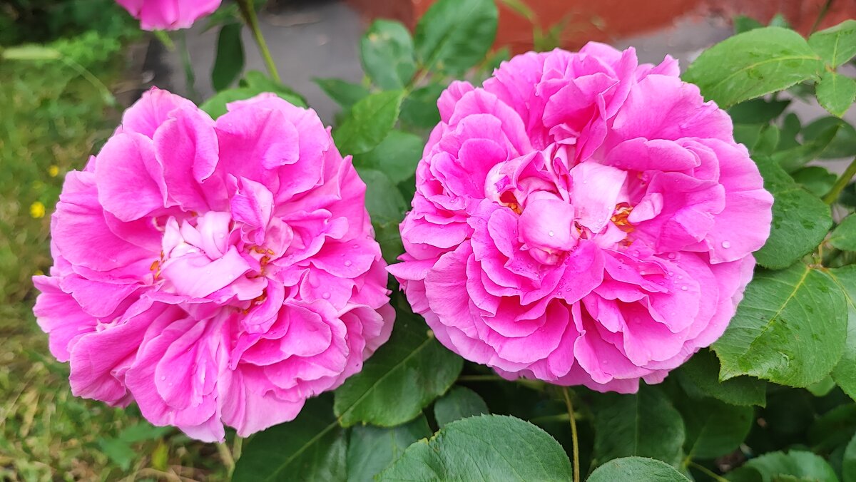 ,,, - Сергей Тимоновский ,,, - Сергей Тимоновский