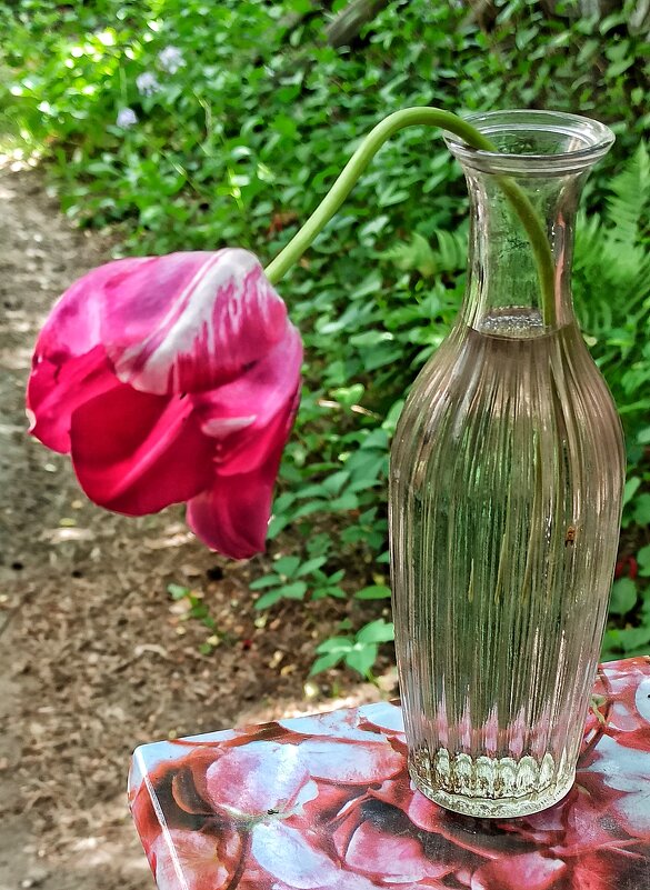 Спасённый найдёныш! - veilins veilins