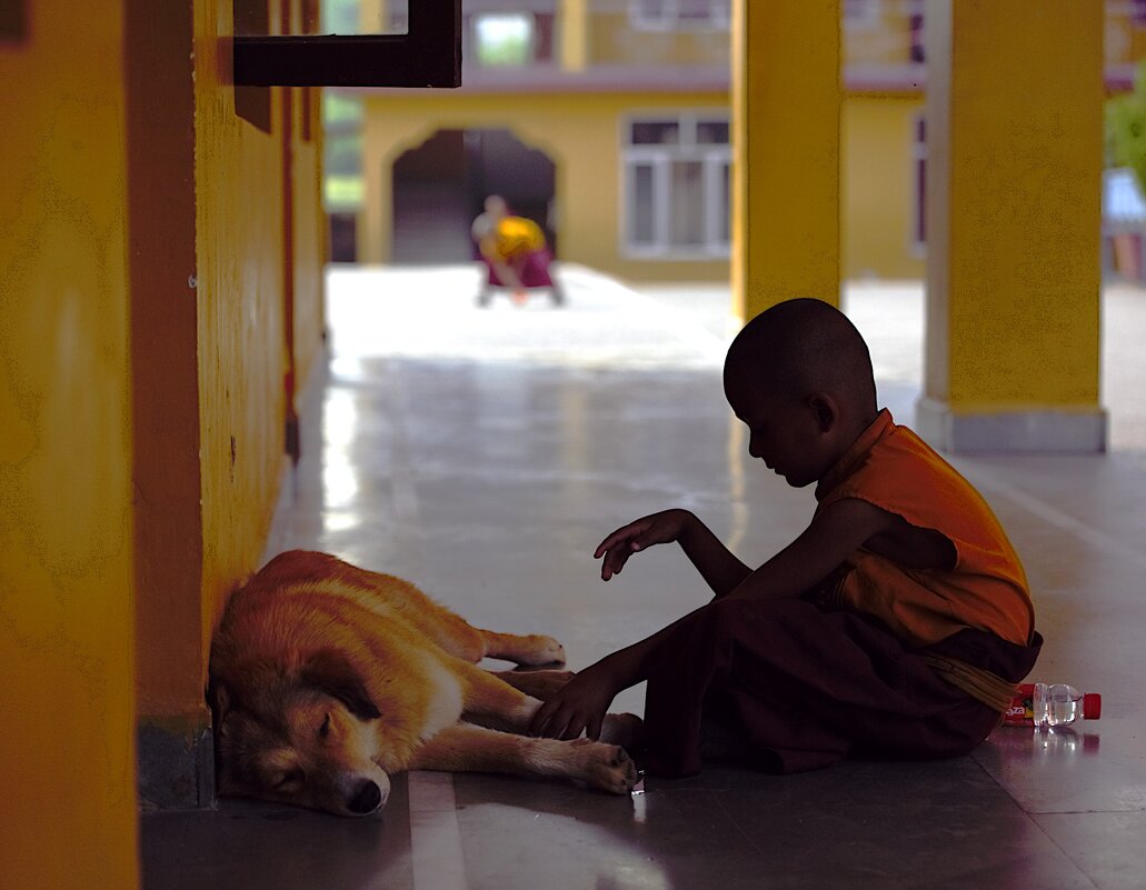 Надо чтобы хоть кого-то можно было приласкать - liudmila drake Надо чтобы хоть кого-то можно было приласкать - liudmila drake