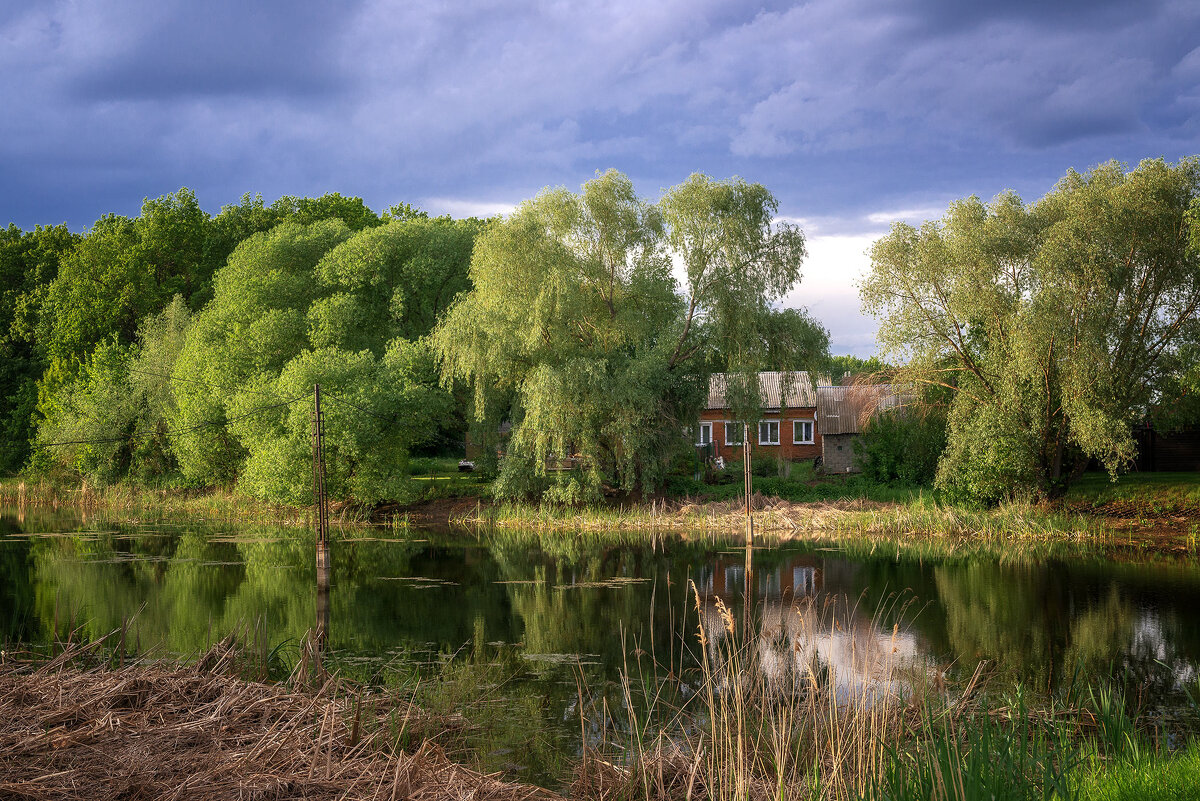 Пруд... - Влад Никишин