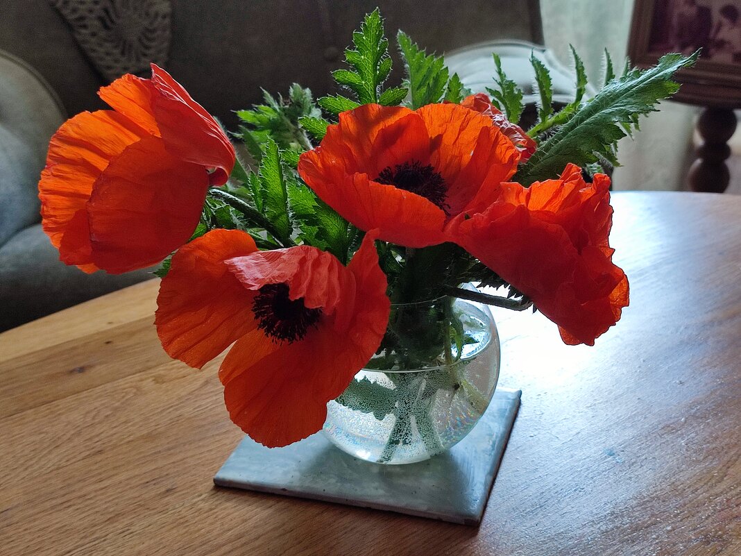 Букетик - Валентина Богатко 