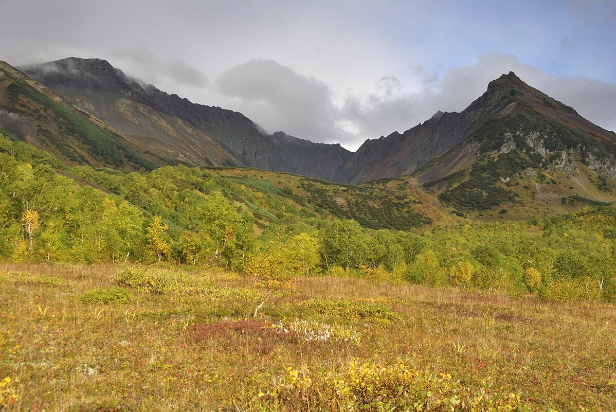 Золотая осень - Марина Виноградова Золотая осень - Марина Виноградова