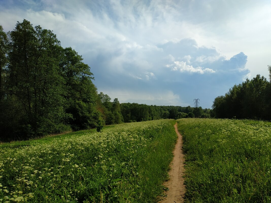 Мой путь светел - Андрей Лукьянов Мой путь светел - Андрей Лукьянов