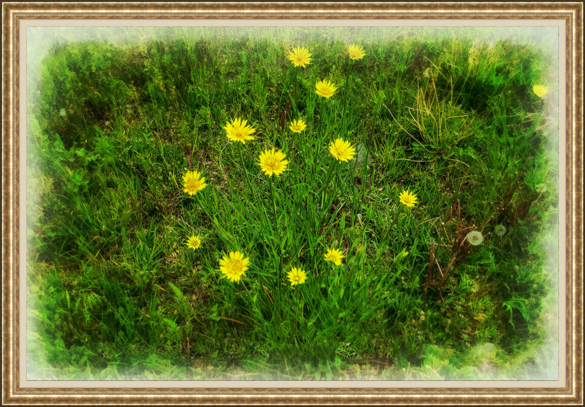 Козлобородник - Анатолий Чикчирный