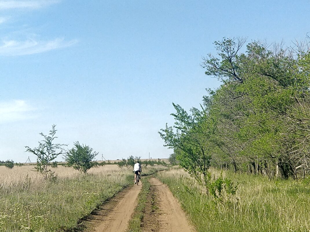 Дороги велотуризма - Андрей Хлопонин Дороги велотуризма - Андрей Хлопонин